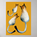Suche nach niedliches katzenbild poster Niedliche katze