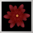 Suche nach weihnachtsstern poster Elegant