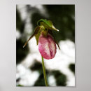 Suche nach frauenschuh poster Natur