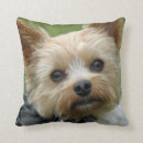 Suche nach hund im bett kissen Welpe