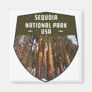 Suche nach sequoia magnete California