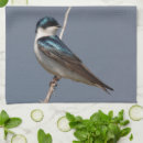 Suche nach schwalbe Natur