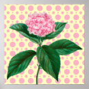 Suche nach hydrangea blume poster Natur