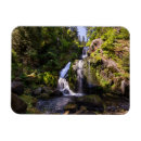 Suche nach schwarzwald magnete Baden württemberg