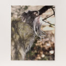 Suche nach säugetiere puzzle Affe