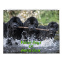 Suche nach schwimmen kalender Schwimmbad