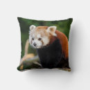 Suche nach pandabär kissen Niedlich