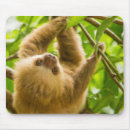 Suche nach trägheit mousepads Natur