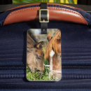 Suche nach fohlen accessoires Pferde