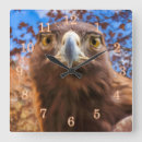 Suche nach raubvogel wanduhren Raubvögel