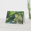 Suche nach krähe karten Lustig