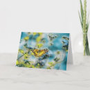 Suche nach blues alle karten Blumenreich