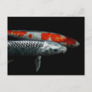 Suche nach orange fische postkarten Tier