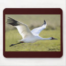 Suche nach kran mousepads Vögel