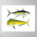Suche nach thunfisch poster Marlin