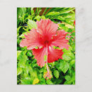 Suche nach belize poster Fotografie