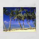 Suche nach cook islands postkarten Baum