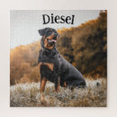 Suche nach rottweiler puzzle Rasse