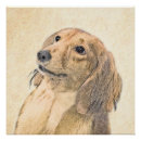 Suche nach langhaarige dackel poster Rot