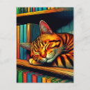 Suche nach bücherregal karten Buchliebhaber
