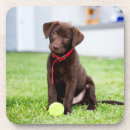 Suche nach labrador retriever untersetzer Niedlich
