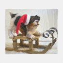 Suche nach schlitten decken Schnee