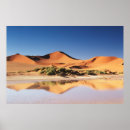 Suche nach sossusvlei poster Düne