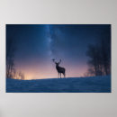 Suche nach majestätisches tier poster Elegant