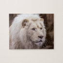 Suche nach beautiful puzzle Photograph