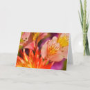 Suche nach alstroemeria Natur