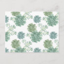 Suche nach pflanze postkarten Sukkulent