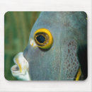 Suche nach tierkopf mousepads Tiere im wilden