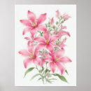 Suche nach stargazer lilie poster Aquarell