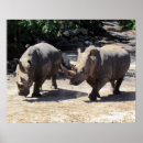 Suche nach rhino poster Wild