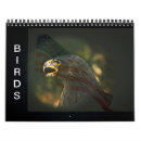 Suche nach specht kalender Vögel