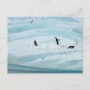 Suche nach funny winter karten Urlaub