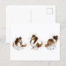 Suche nach sheltie postkarten Welpe
