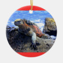 Suche nach ecuador ornamente Südamerika