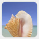 Suche nach seemuschel aufkleber Strand
