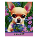 Suche nach chihuahua poster Blume