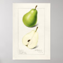 Suche nach birnen poster Obst