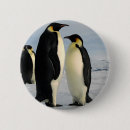 Suche nach gekackt buttons Tiere