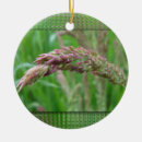 Suche nach tau ornamente Regen