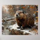 Suche nach biber poster Niedlich