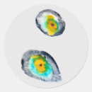 Suche nach muscheln aufkleber Einfach