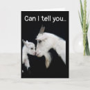 Suche nach unglücklich karten Entschuldigen