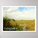 Suche nach everglades poster Sumpf