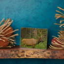 Suche nach kanada fotoplatten Alberta