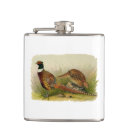 Suche nach gras flachmänner Fasan