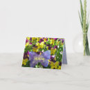 Suche nach pansy blume karten Natur